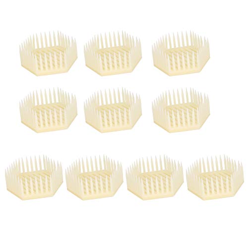 Für die Bienenzucht, für Queen Cage, 10pcs hexagonales Form -Imker -Werkzeug, Bienenzubehör -Zubehör -Accessoires von kaisudiAP
