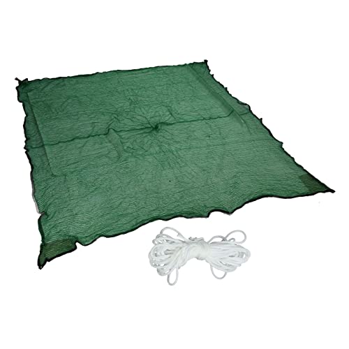 Sun Shade Segel Rechteck Baldachin - HDPE UV -Block durchlässiger - für den Rasen im Freien im Freien Gartengarten (2 * 4m) von kaisudiAP