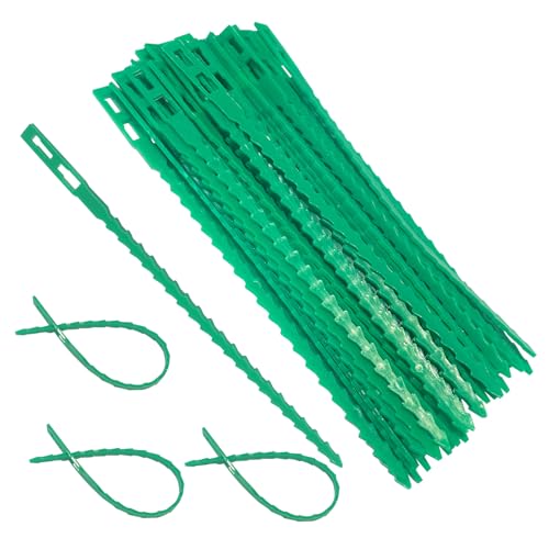 KAIYAYA 150 Stück Verstellbarer Pflanzenbinder Kabelbinder Garten Flexible Wiederverwendbar Anbinder Gartenbinder Kunststoff für Grüne Pflanzenstütze Gartenbaum Sträucher Binden von kaiyaya