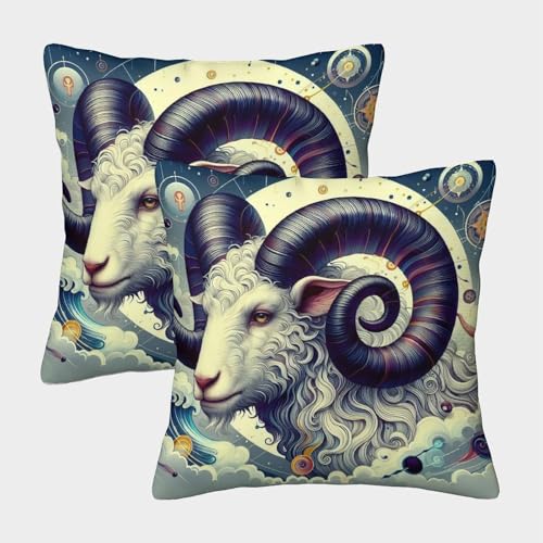 kaiyun 2er-Pack 50x50cm Square Pillowcase Ziege Deko Kissenbezug Garten-Außensofa Wohnzimmer Heim Dekoration von kaiyun