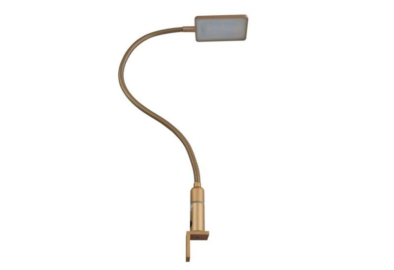 kalb Bettleuchte 4W LED Bettleuchte Leseleuchte Nachttischlampe Leselampe flexibel, 1er Set messing matt, warmweiß von kalb