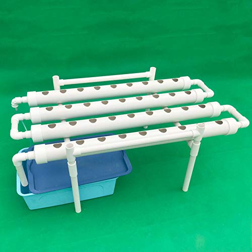 Hydroponic Grow Kit 36 Werksstandorte 1 Schichtpflanze PVC Hydroponik 4 Rohre Hydroponik Anbausystem Wasserkultur Gartenpflanzensystem für Gemüse in Haus, Garten und Büro von kangten