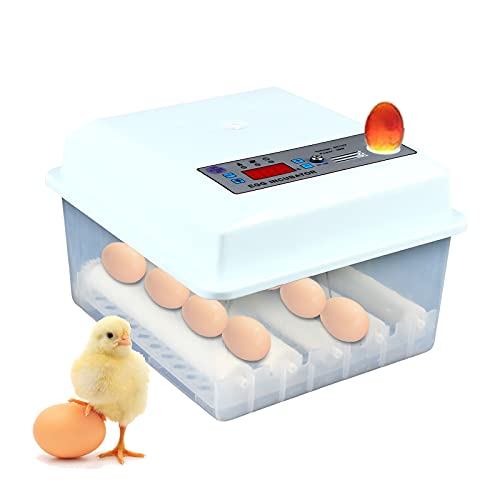 Vollautomatische Brutmaschine Eier Inkubator Vollautomatisch Brutapparat Flächenbrüter 16 Eier Digital zum Schlüpfen von Putengansvögeln von kangten