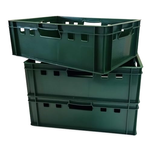 kanister-vertrieb® 3er Set E2-Kiste Eurobox Metzgerkiste Vorratskiste Aufbewahrungsbox Lagerbox 60x40x20 cm stabil für Lebensmittel geeignet (grün) von kanister-vertrieb