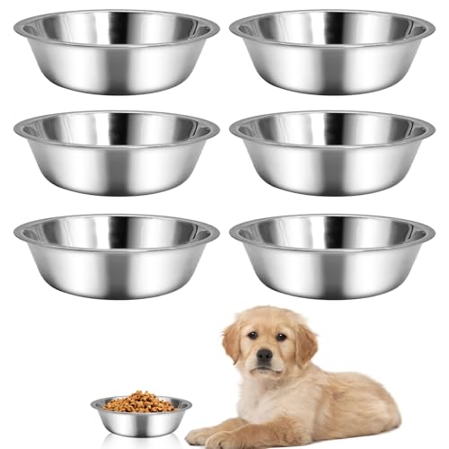 kathson 6 Stück kleine Edelstahl-Hundenäpfe, Ersatz-Futternapf für Welpen, Wassernapf, geeignet für drinnen und draußen, Haustier-Futternapf für kleine Tiere, Kätzchen, spülmaschinenfest (14 cm) kathson 6 Stück kleine Edelstahl-Hundenäpfe, Ersatz-Futternapf für Welpen, Wassernapf, geeignet für drinnen und draußen, Haustier-Futternapf für kleine Tiere, Kätzchen, spülmaschinenfest (14 cm) von kathson