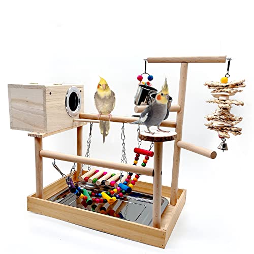 kathson Papageien Playstand Birds Perch Stand Play Gym Nymphensittich Laufstall mit Kauspielzeug Brücken Schaukeln Futternapf Sittich Zuchtbox für afrikanische Grau Conures Kakadus von kathson