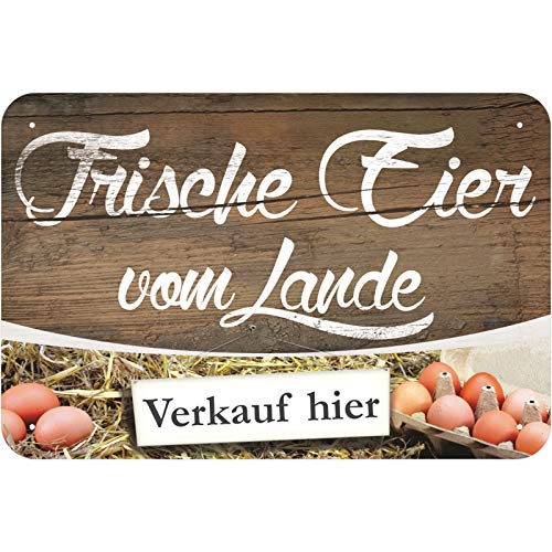 Schild Frische Eier vom Lande Aluminium-Verbundmaterial 3mm stark 40 x 60 cm von KDS