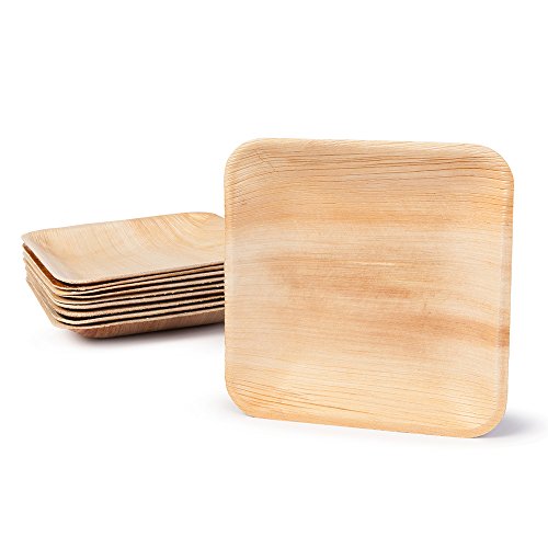 BIOZOYG Palmware DTW05369 Einwegteller aus Palmblatt, 25 Stück, eckig, 15x15 cm, kompostierbar BIOZOYG Palmware DTW05369 Einwegteller aus Palmblatt, 25 Stück, eckig, 15x15 cm, kompostierbar von BIOZOYG