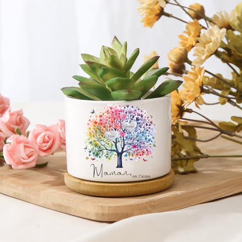 kaululu Pflanztöpfe Personalisierter Keramik Blumentopf mit Namen Blumentopf mit Untersetzer Blumentöpfe Klein Innenbereich Muttertagsgeschenke für Mama Personalisierte Geschenke (Stil 3) von kaululu