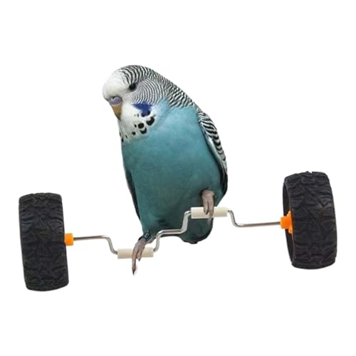 kdkskss Parrot Balance Spielzeug - Interaktives Trainingsspielzeug Für Vogelkäfig | Käfig Sportzubehör Spaß Nymphensittiche Balance Fahrzeug für Holz Sitz Ständer Tischdekoration Heimtierbedarf | kdkskss Parrot Balance Spielzeug - Interaktives Trainingsspielzeug Für Vogelkäfig | Käfig Sportzubehör Spaß Nymphensittiche Balance Fahrzeug für Holz Sitz Ständer Tischdekoration Heimtierbedarf | von kdkskss
