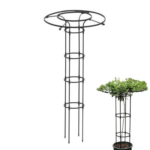 kdkskss Rankhilfe Für Kletterpflanzen | Vertikale Metall-Blumenstütze - Metall Rankhilfe Mit Säulenform Für Blumen, Zimmerpflanzen & Rankgewächse kdkskss Rankhilfe Für Kletterpflanzen | Vertikale Metall-Blumenstütze - Metall Rankhilfe Mit Säulenform Für Blumen, Zimmerpflanzen & Rankgewächse von kdkskss