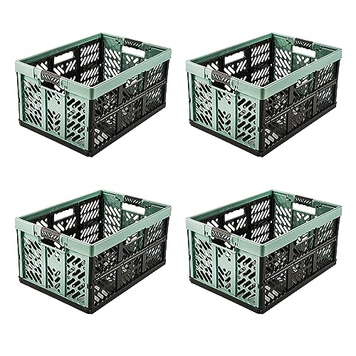 keeeper 4x Stabile Profi-Klappboxen mit Soft-Touch Griffen, 45 l, Ben, Nordic Green (Grün) von keeeper