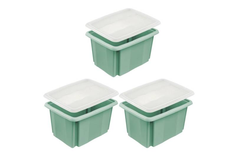 keeeper Aufbewahrungsbox Emil, Box mit Deckel, 3er Set, 15 L, 38 x 28,5 x 20,5 cm (Set, 3 St), ineinander und aufeinander stapelbar von keeeper