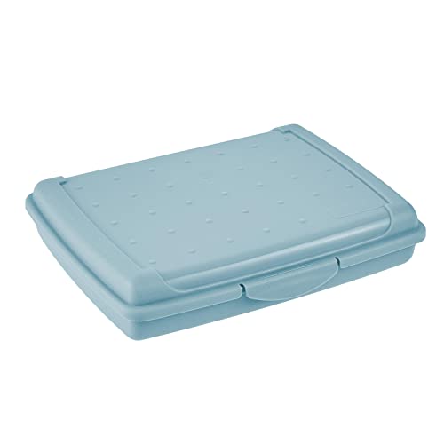 keeeper Frischhaltedose mit Klickverschluss, 17 x 13 x 3,5 cm, 500 ml, Luca Mini, Nordic Blue von keeeper