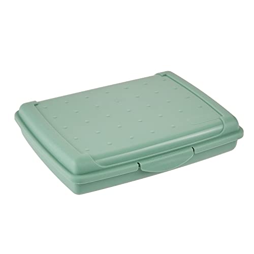 keeeper Frischhaltedose mit Klickverschluss, 17 x 13 x 3,5 cm, 500 ml, Luca Mini, Nordic Green von keeeper