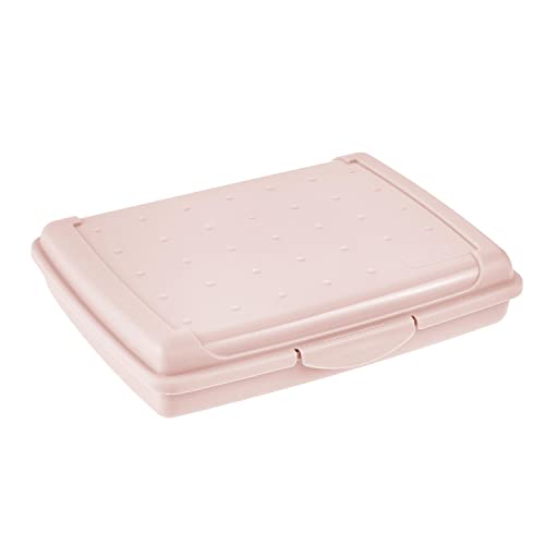 keeeper Frischhaltedose mit Klickverschluss, 17 x 13 x 3,5 cm, 500 ml, Luca Mini, Nordic Pink keeeper Frischhaltedose mit Klickverschluss, 17 x 13 x 3,5 cm, 500 ml, Luca Mini, Nordic Pink von keeeper