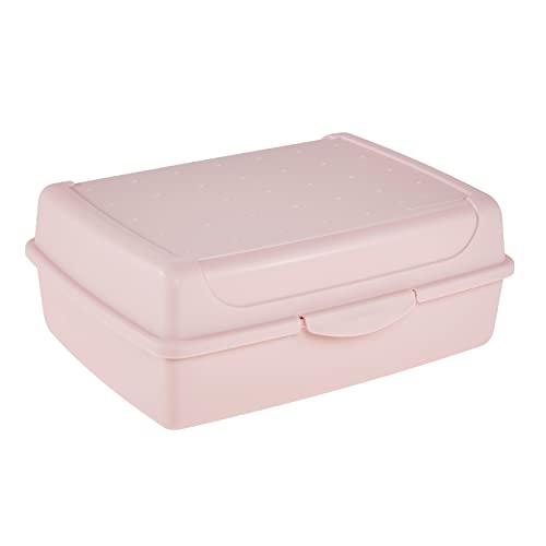 keeeper Frischhaltedose mit Klickverschluss, 17 x 13 x 7 cm, 1 l, Luca Midi, Nordic Pink keeeper Frischhaltedose mit Klickverschluss, 17 x 13 x 7 cm, 1 l, Luca Midi, Nordic Pink von keeeper