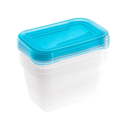 keeeper Frischhaltedosenset 4-teilig, 4 x 750 ml, 15,5 x 10,5 x 8,5 cm, Fredo Fresh, Blau Transparent von keeeper