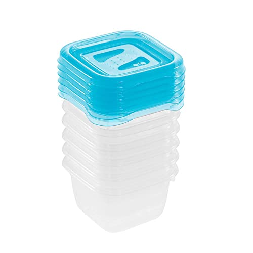 keeeper Frischhaltedosenset 6-teilig, 6 x 90 ml, 6,5 x 6,5 x 4 cm, Fredo Fresh, Blau Transparent von keeeper