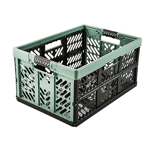 keeeper Stabile Profi-Klappbox mit Soft-Touch Griffen, 54 x 37 x 28 cm, 45 l, Ben, Nordic Green von keeeper