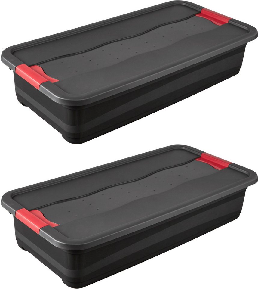 keeeper Transportbehälter eckhart, 2er Set Transporbox, 33 L, 79,5 x 39,5 x 17 cm, (Set, 2-St), seitl. Clips, Griffe am Boden, stoßfeste Seitenwände, robuster Deckel von keeeper