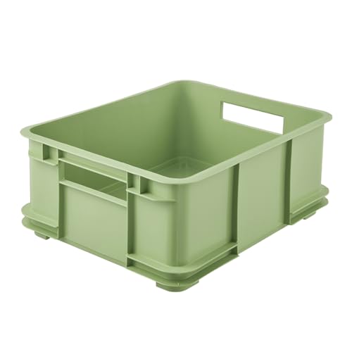 keeeper Transportbox mit Tragegriffen, Euro-Box L, 43 x 35 x 17,5 cm, Bruno Eco Line, Grün (Eco Grass Green) von keeeper