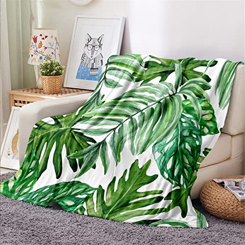 keepmore Erwachsene Kind Flanell Fleece Weiche Decke Tropischer Regenwald Print Leichte Warme Decke für Couch Bett Sofa von keepmore