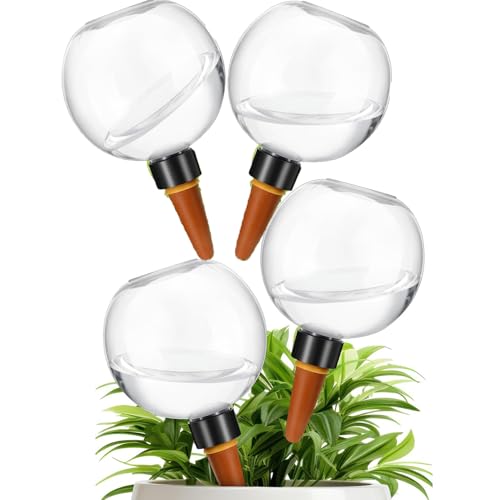 4 Stück Pflanzen Bewässerungskugeln, Automatische Bewässerungsspitzen, Wiederverwendbare Bewässerung Topfpflanzen, Langsame Wasserversorgung Für Pflanzen, 500ml Transparentes Bewässerungsgerät 4 Stück Pflanzen Bewässerungskugeln, Automatische Bewässerungsspitzen, Wiederverwendbare Bewässerung Topfpflanzen, Langsame Wasserversorgung Für Pflanzen, 500ml Transparentes Bewässerungsgerät von keloppasit