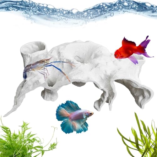 keloppasit Aquarium Tunnel - Betta Tunnel Aquarium Unterirdische Höhle | Dekorativer Unterstand für Spielruhe Zuhause Wohnzimmer Süßwasser Salzwasser Schmerle Corydora Wels keloppasit Aquarium Tunnel - Betta Tunnel Aquarium Unterirdische Höhle | Dekorativer Unterstand für Spielruhe Zuhause Wohnzimmer Süßwasser Salzwasser Schmerle Corydora Wels von keloppasit