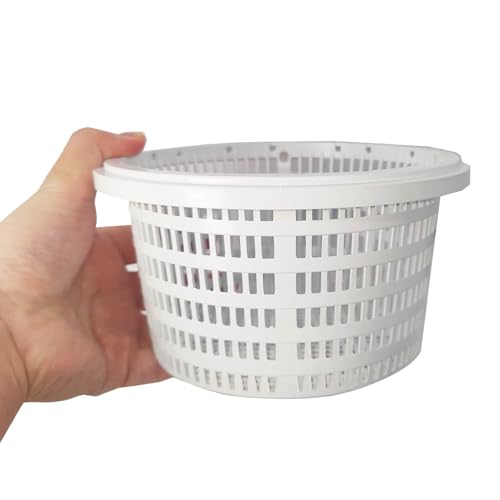 keloppasit Pool Siebkorb | Pool Filter Sieb Skimmer Korb | Tragbare Schwimmen Ersatzkörbe, Skimmer Socken für Inground oder Boden keloppasit Pool Siebkorb | Pool Filter Sieb Skimmer Korb | Tragbare Schwimmen Ersatzkörbe, Skimmer Socken für Inground oder Boden von keloppasit