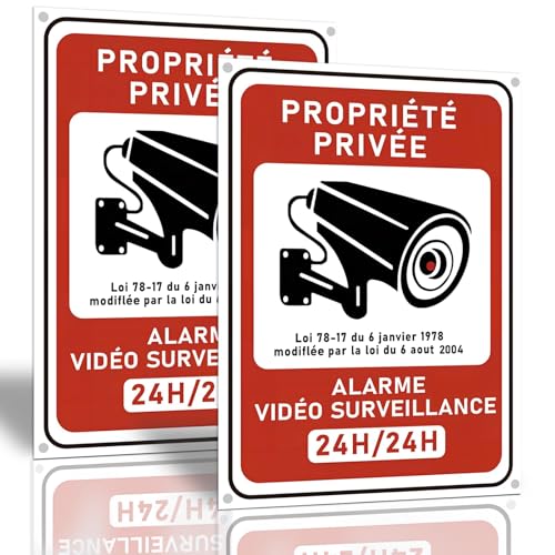 2 Stück 18 x 13 cm Warnschild Videoüberwachung "Privateigentum" aus hartem PVC selbstklebend + 8 Halsketten | Innen/Außen robust | schnelle Installation ohne Bohren (2) von kinoco