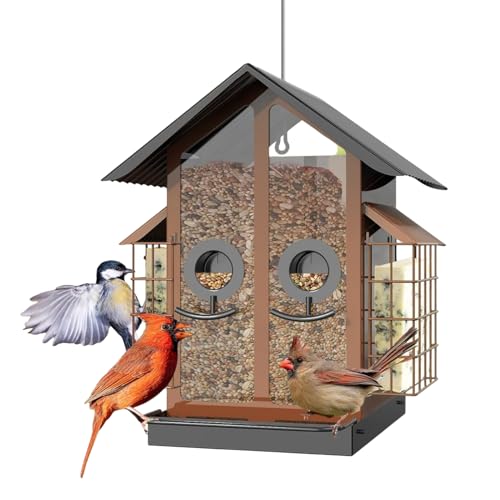 kinrguiyuez Vogelfutterhaus Für Draußen - Metall-Transparente Vogelfutterhäuser mit Doppeldach | Vogelfutter Zubehör Für Garten Balkon Terrasse Beobachtung kinrguiyuez Vogelfutterhaus Für Draußen - Metall-Transparente Vogelfutterhäuser mit Doppeldach | Vogelfutter Zubehör Für Garten Balkon Terrasse Beobachtung von kinrguiyuez