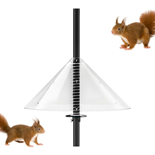kinrguiyuez Vogelfutterstation für Eichhörnchen, Eichhörnchensichere Trennwand, Vogelfutterschutzgerät für Außenbereich, Hof, Baum, Park, Rasen, Terrasse kinrguiyuez Vogelfutterstation für Eichhörnchen, Eichhörnchensichere Trennwand, Vogelfutterschutzgerät für Außenbereich, Hof, Baum, Park, Rasen, Terrasse von kinrguiyuez