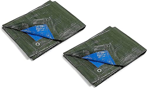 Kippen 6056X - 2er Pack Ösenplane zweifarbig Größe 3 x 4 m, Grammatur 90 g/m² von kippen