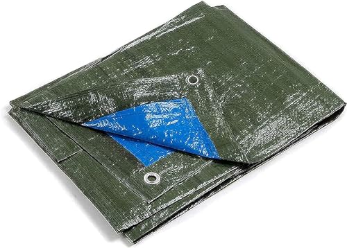 kippen 6068G1 – Abdeckplane mit Ösen, zweifarbig, Grammatur 90 g/m², Größe 3 x 3 (9 m²), Grün/Blau von kippen