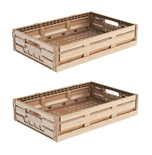 2x Faltbox im Holzdesign 60x40x11 * Klappbox für Obst, Gemüse * Obstkiste Gemüsekiste Holz Optik von kistenkind