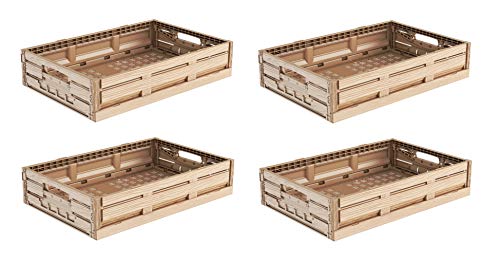4x Faltbox im Holzdesign 60x40x11 * Klappbox für Obst, Gemüse * Obstkiste Gemüsekiste Holz Optik von kistenkind
