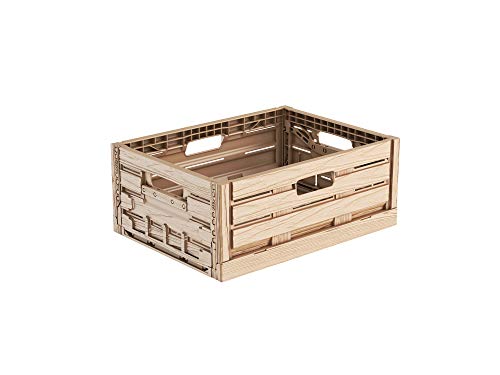 Faltbox im Holzdesign 40x30x16 * Klappbox für Obst, Gemüse * Obstkiste Gemüsekiste Holz Optik von kistenkind