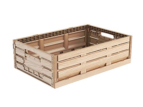 Faltbox im Holzdesign 60x40x16 * Klappbox für Obst, Gemüse * Obstkiste Gemüsekiste Holz Optik von kistenkind