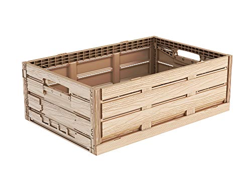 Faltbox im Holzdesign 60x40x19 * Klappbox für Obst, Gemüse * Obstkiste Gemüsekiste Holz Optik von kistenkind