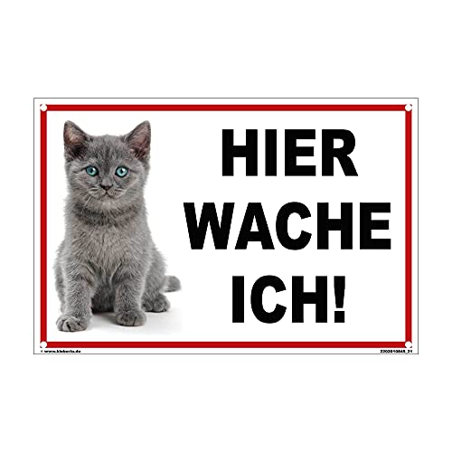 Kleberio® Katzenschild Kunststoff - Hier wache ich! - 30 x 20cm mit Bohrlöcher Warnschild Katze Vorsicht Katze Gartendeko Katze Gartenschilder Warnung Schild für Briefkasten Katzen Verkehrsschild von kleberio