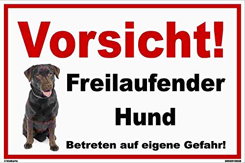 Kleberio® Warn Schild Labrador 30 x 20 cm - Vorsicht! Freilaufender Hund Betreten auf eigene Gefahr - stabile Aluminiumverbundplatte von kleberio