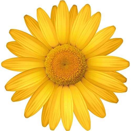 Kleberio Aufkleber Margerite gelb Autoaufkleber wasserfest Blumen Mülltonne Blumenwiese Dekoration selbstklebend Fensterbild Fliesenaufkleber für Kinder und Erwachsene 10 x 10 cm von kleberio
