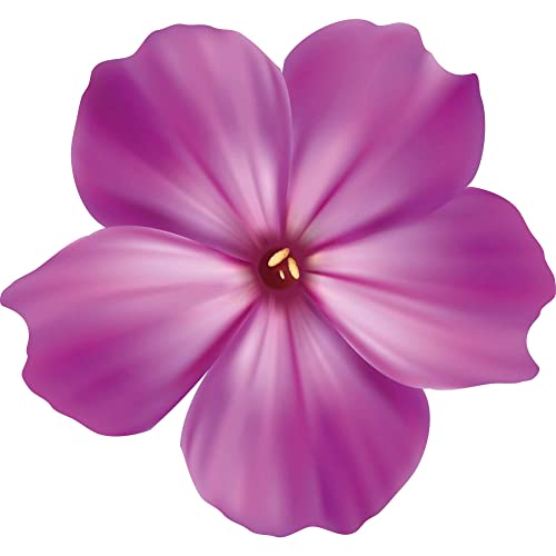 Kleberio Aufkleber Petunie lila violett Sticker Autoaufkleber wasserfest Blumen Mülltonne Blumenwiese Dekoration selbstklebend Fensterbild Fliesenaufkleber für Kinder und Erwachsene 19 x 20 cm von kleberio