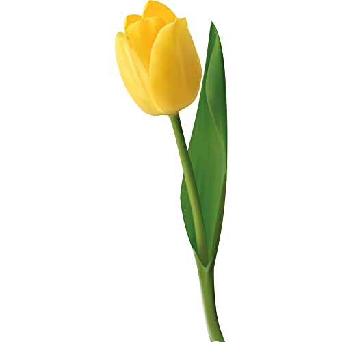 Kleberio Aufkleber Tulpe gelb Autoaufkleber wasserfest Blumen Mülltonne Blumenwiese Dekoration selbstklebend Fensterbild Fliesenaufkleber für Kinder und Erwachsene 10 x 29 cm von kleberio