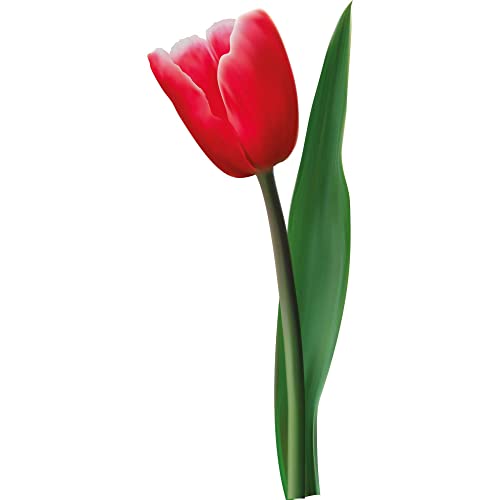 Kleberio Aufkleber Tulpe rot Autoaufkleber wasserfest Blumen Mülltonne Blumenwiese Dekoration selbstklebend Fensterbild Fliesenaufkleber für Kinder und Erwachsene 7 x 18 cm Kleberio Aufkleber Tulpe rot Autoaufkleber wasserfest Blumen Mülltonne Blumenwiese Dekoration selbstklebend Fensterbild Fliesenaufkleber für Kinder und Erwachsene 7 x 18 cm von kleberio