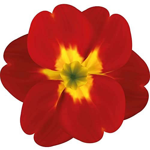 Kleberio selbstklebender Aufkleber Sticker Autoaufkleber wetterfest Blumen Mülltonne Blumenwiese Dekoration Fensterbild Fliesenaufkleber 10 x 9 cm - Rote gelbe Primel - von kleberio