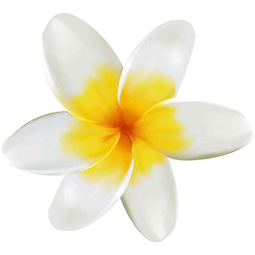 Kleberio selbstklebender Aufkleber Sticker Autoaufkleber wetterfest Blumen Mülltonne Blumenwiese Dekoration Fensterbild Fliesenaufkleber 20 x 22 cm - Gelbe Frangipani - von kleberio