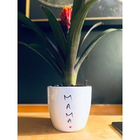 Blumentopf Für Die Mama, Mutter von kleckserei