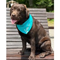 Hundehalstuch Mit Wunschtext Zum Binden Oder Knöpfen Auch Als Geschenkidee von klenniesschneiderei